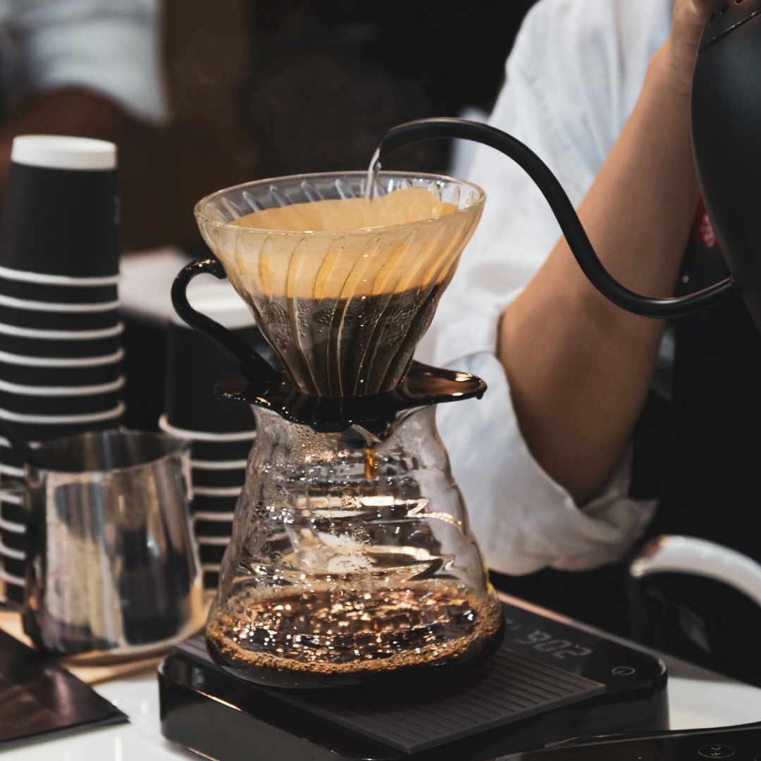 Immersion torréfaction café MaxiCoffee